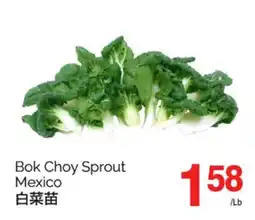 T&T Supermarket BOK CHOY SPROUT MEXICO offer