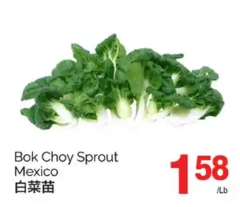 T&T Supermarket BOK CHOY SPROUT MEXICO offer