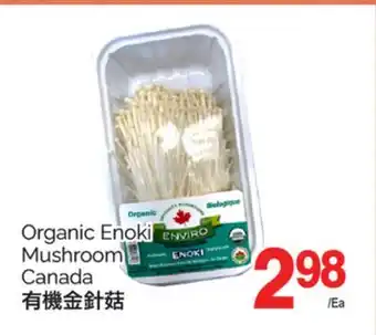 T&T Supermarket Organic Enoki Mushroom Canada offer