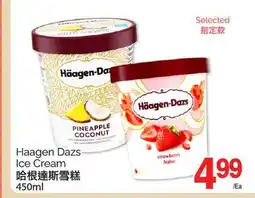 T&T Supermarket HAAGEN DAZS ICE CREAM, 450ML offer