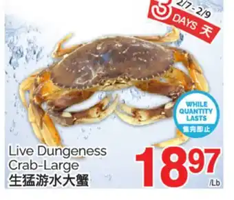 T&T Supermarket LIVE DUNGENESS CRAB-LARGE offer