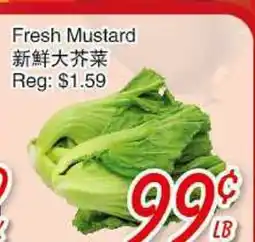 Foody Mart FRESH MUSTARD offer