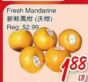 Foody Mart Fresh Mandarine offer