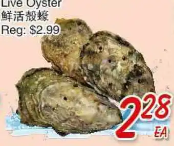 Foody Mart LIVE OYSTER offer