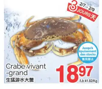 T&T Supermarket CRABE VIVANT-GRAND offer