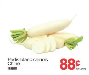 T&T Supermarket RADIS BLANC CHINOIS CHINE offer