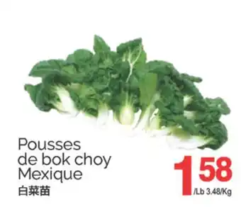 T&T Supermarket POUSSES DE BOK CHOY offer