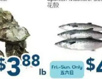 Oceans Fresh Food Market Jumbo Shell Oyster offer