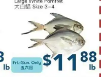 Oceans Fresh Food Market Large White Pomfret offer