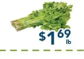 Oceans Fresh Food Market Chinese Celery offer