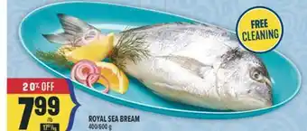 Marché Adonis ROYAL SEA BREAM offer