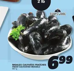 IGA FRESH CULTIVATED MUSSELS offer