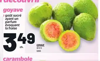 Metro GOYAVE | GUAVA offer