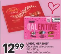 Brunet LINDT, HERSHEY Chocolats sélectionnés offer