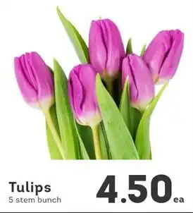 IGA Tulips offer