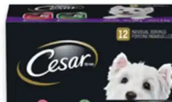 Walmart Cesar Wet Dog Food Variety Pack offer