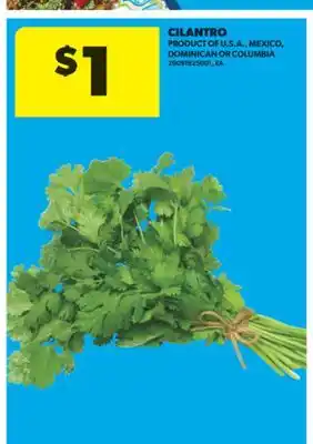 Real Canadian Superstore CILANTRO offer