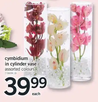 Fortinos CYMBIDIUM IN CYLINDER VASE offer