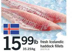 Fortinos FRESH ICELANDIC HADDOCK FILLETS offer