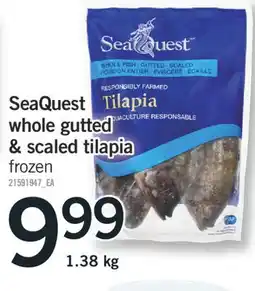 Fortinos SEAQUEST WHOLE GUTTED & SCALED TILAPIA, 1.38 KG offer