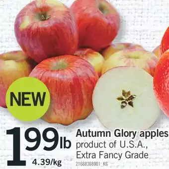 Fortinos AUTUMN GLORY APPLES offer