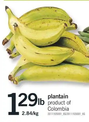 Fortinos PLANTAIN offer