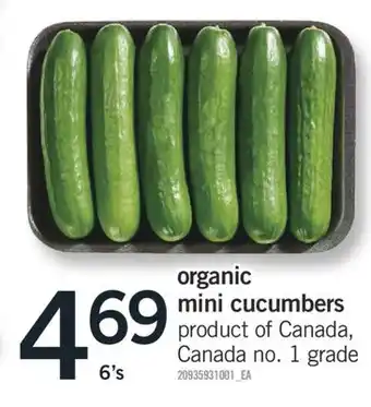 Fortinos ORGANIC MINI CUCUMBERS,6's offer