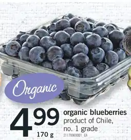 Fortinos ORGANIC BLUEBERRIES, 170 G offer