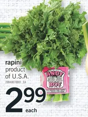 Fortinos RAPINI, EACH offer