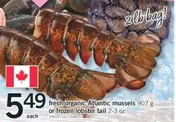 Fortinos FRESH ORGANIC ATLANTIC MUSSELS 907 G OR FROZEN LOBSTER TAIL 2-3 OZ offer