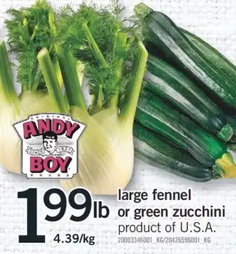 Fortinos LARGE FENNEL OR GREEN ZUCCHINI offer