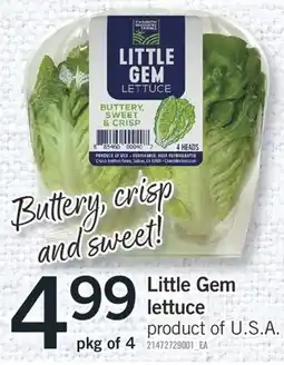 Fortinos LITTLE GEM LETTUCE, PKG OF 4 offer