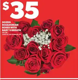 Loblaws DOZEN ECUADORIAN ROSES WITH BABY'S BREATH, 50CM offer