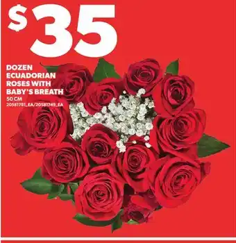 Loblaws DOZEN ECUADORIAN ROSES WITH BABY'S BREATH, 50CM offer