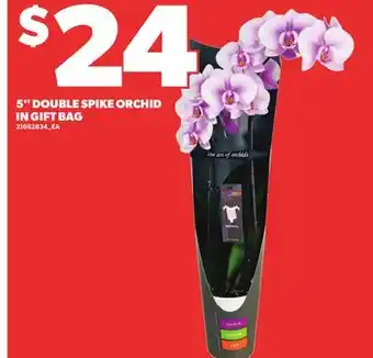 Loblaws 5 DOUBLE SPIKE ORCHID IN GIFT BAG offer