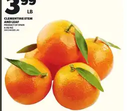 Loblaws CLEMENTINE STEM AND LEAF offer