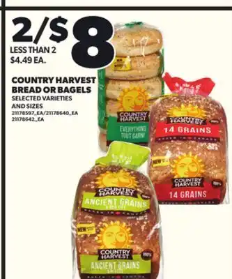 Loblaws COUNTRY HARVEST BREAD OR BAGELS offer