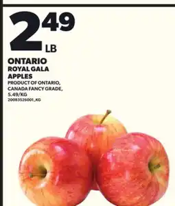 Loblaws ROYAL GALA APPLES offer