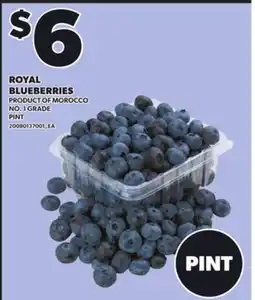 Loblaws ROYAL BLUEBERRIES, pint offer