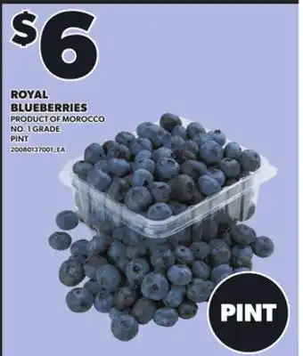 Loblaws ROYAL BLUEBERRIES, pint offer