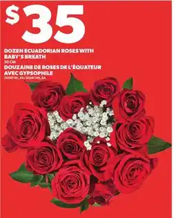 Independent Grocer DOZEN ECUADORIAN ROSES WITH BABY'S BREATH offer