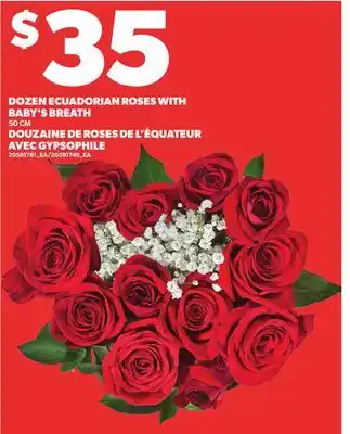 Independent Grocer DOZEN ECUADORIAN ROSES WITH BABY'S BREATH offer