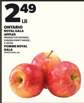 Independent Grocer ONTARIO ROYAL GALA APPLES offer