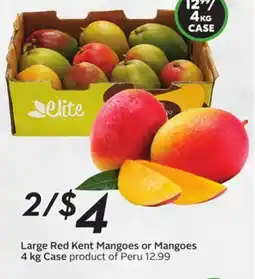 Sobeys Large Red Kent Mangoes or Mangoes offer