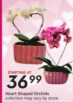 Sobeys Heart Shaped Orchids offer