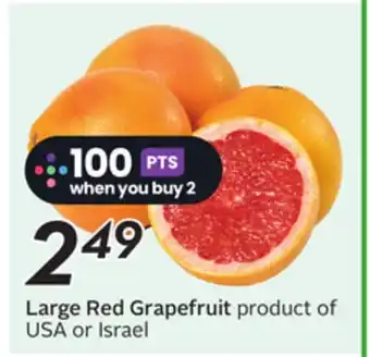 Sobeys Large Red Grapefruit offer