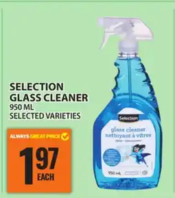 Food Basics SELECTION GLASS CLEANER offer