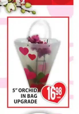 Food Basics 5 ORCHID IN BAG UPGRADE offer