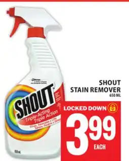 Food Basics SHOUT STAIN REMOVER offer