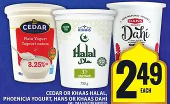 Food Basics CEDAR OR KHAAS HALAL, PHOENICIA YOGURT, HANS OR KHAAS DAHI offer